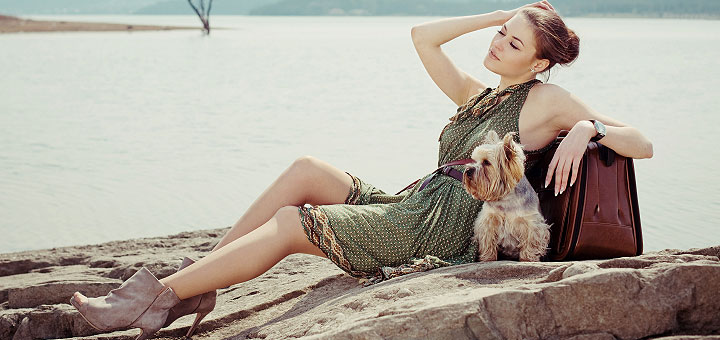 The Lux: collari e guinzagli di lusso