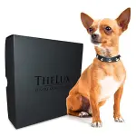 Nuova collezione di collari TheLux, per chi è attento allo stile