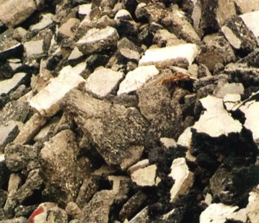 Smaltimento rifiuti, a Roma c'è AV Trasporti