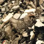 Smaltimento rifiuti, a Roma c'è AV Trasporti