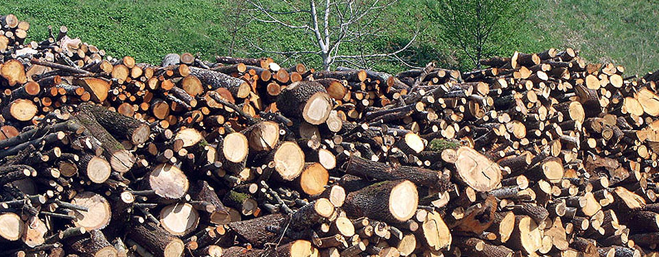 Il castagno come legna da ardere: alto rendimento per riscaldare le case