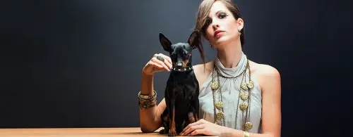 Collari per cani TheLux, semplicemente il meglio!