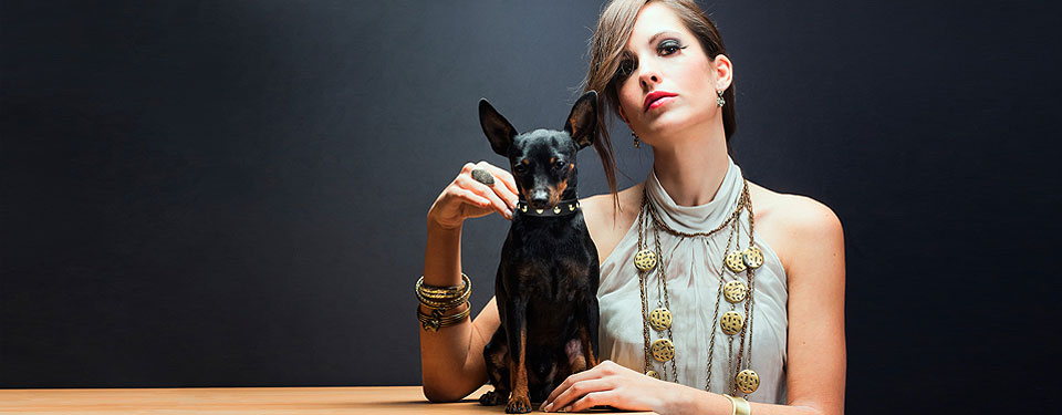 Collari per cani TheLux, semplicemente il meglio!