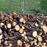 Consigli su come scegliere la legna più adatta