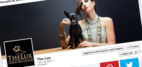 Blog e pagine aziendali sui social network