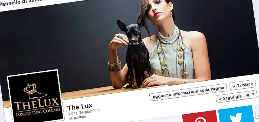 Blog e pagine aziendali sui social network