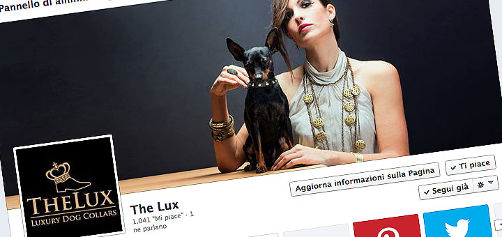 Blog e pagine aziendali sui social network